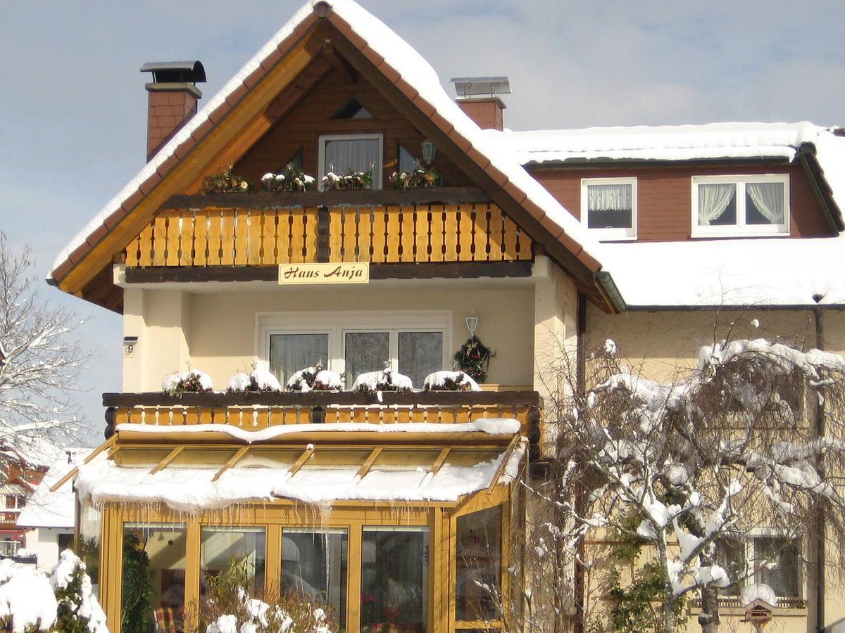 Апартаменты Haus Anja Титизее-Нойштадт Экстерьер фото
