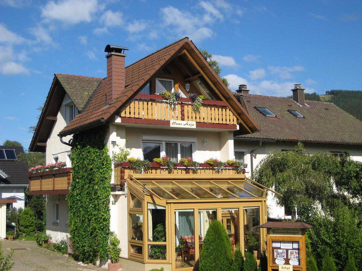 Апартаменты Haus Anja Титизее-Нойштадт Экстерьер фото